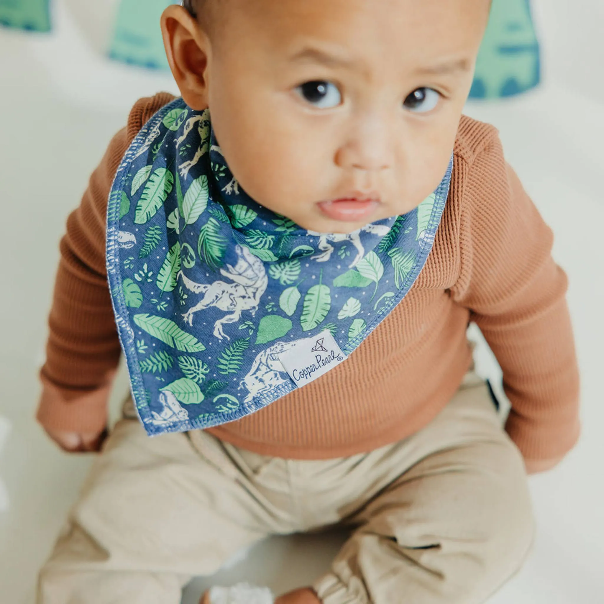 Baby Bandana Bibs - Jurassic Park
