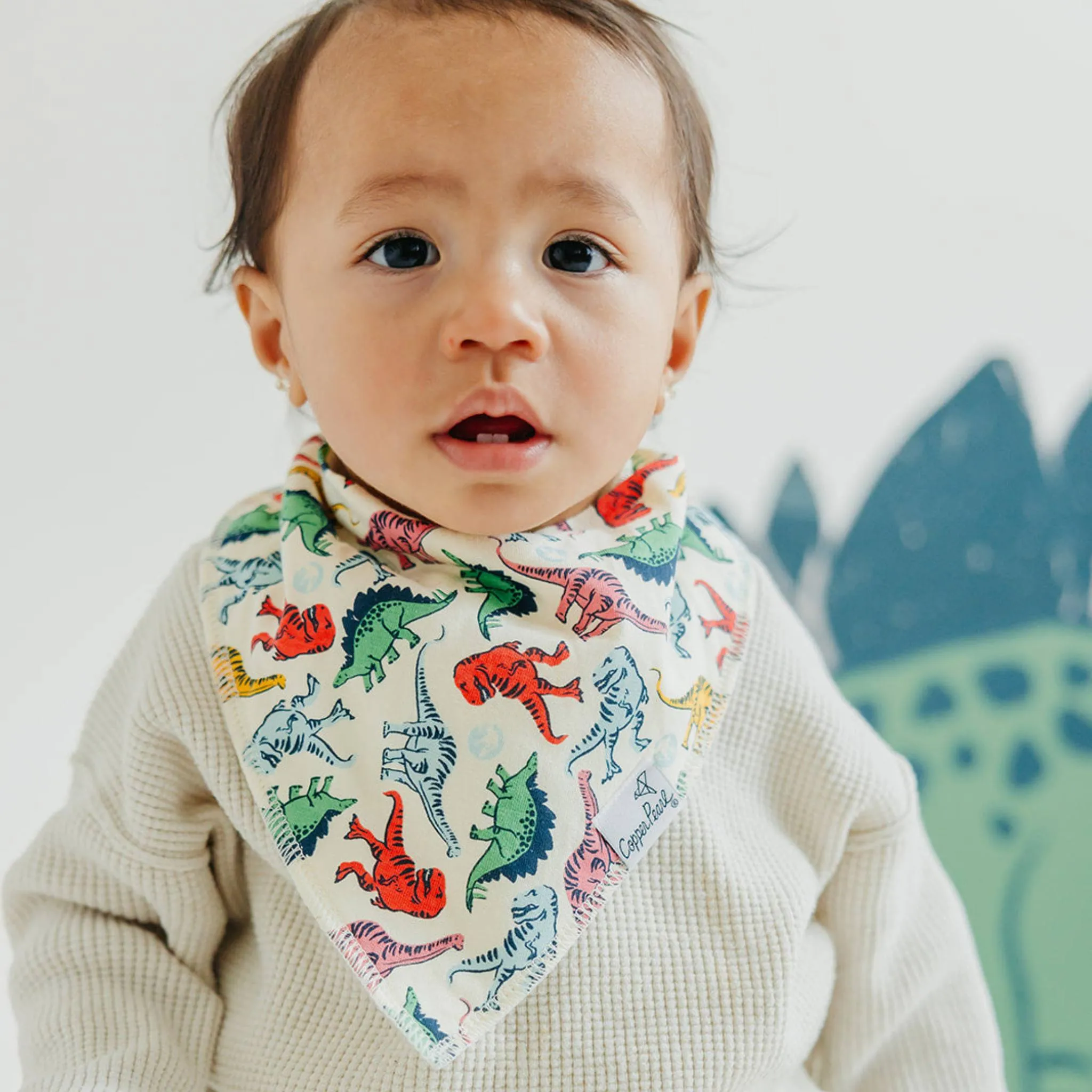 Baby Bandana Bibs - Jurassic Park