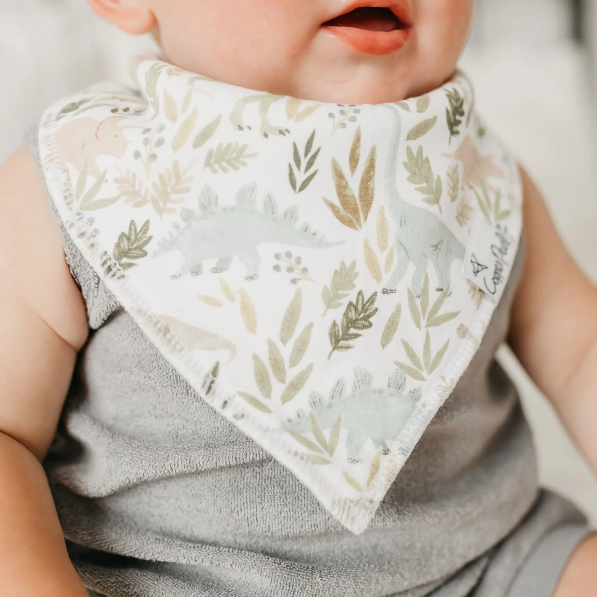 Baby Bandana Bibs - Rex