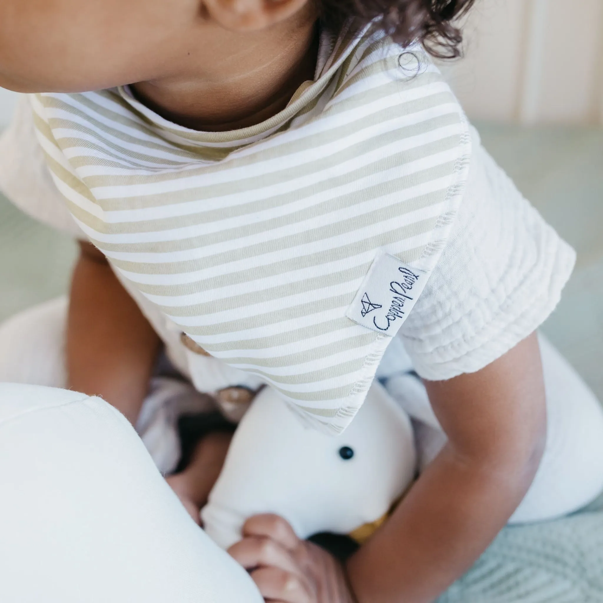 Baby Bandana Bibs - Rex