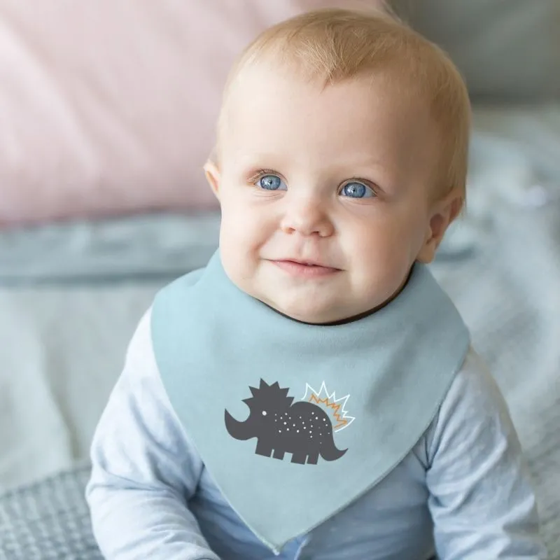 Bandana Bib - 2 Pack