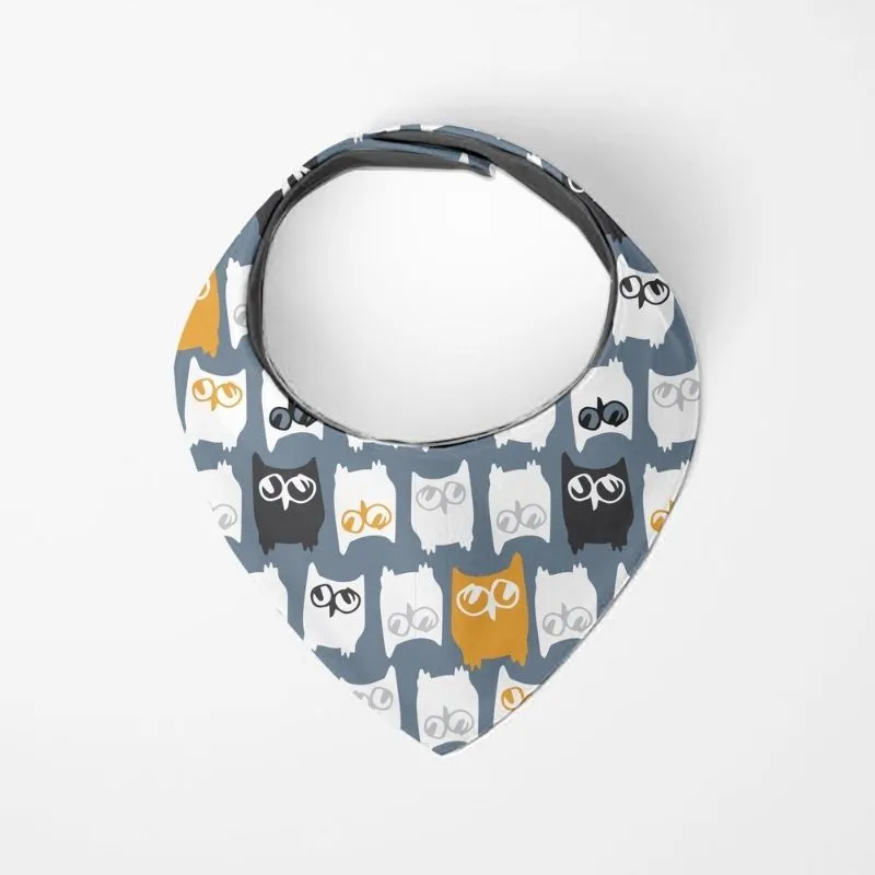 Bandana Bib - 2 Pack