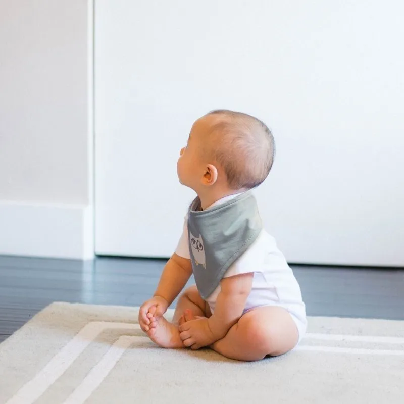 Bandana Bib - 2 Pack