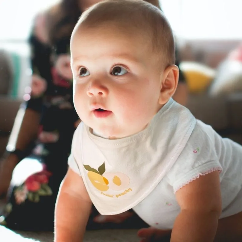 Bandana Bib - 2 Pack