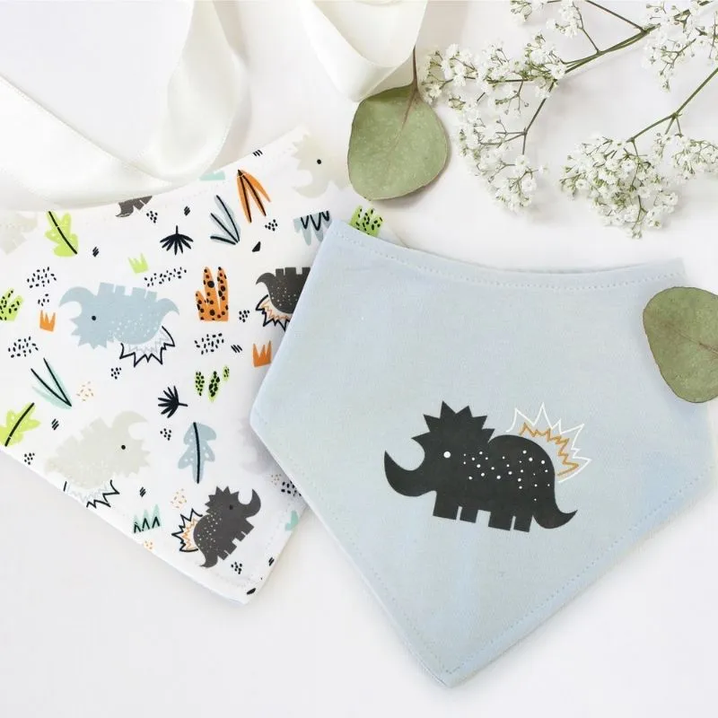 Bandana Bib - 2 Pack