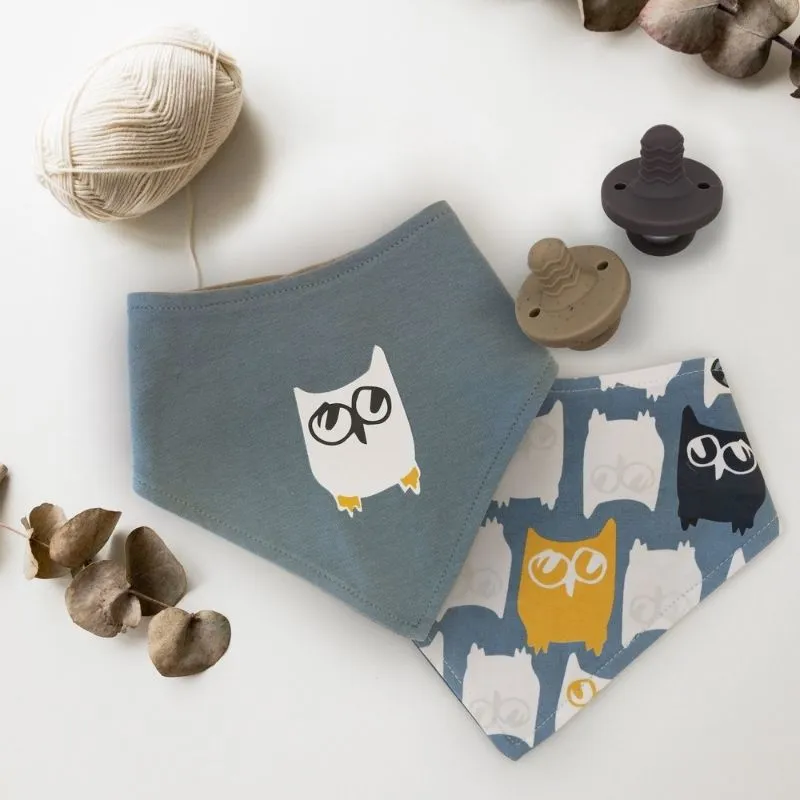 Bandana Bib - 2 Pack