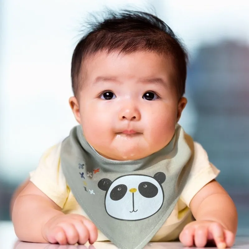Bandana Bib - 2 Pack