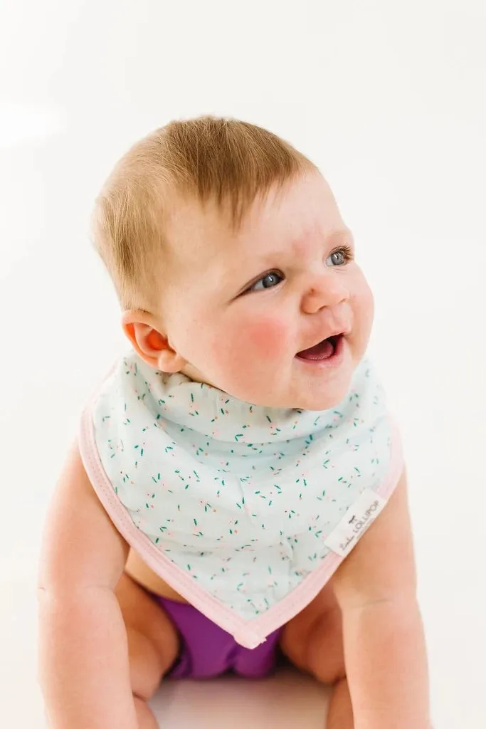 Bandana Bib Set- Rosey Bloom