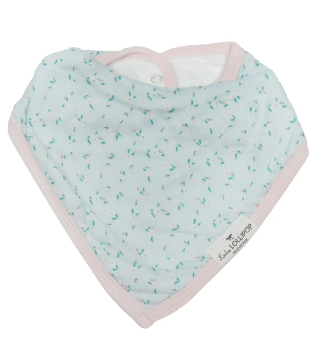 Bandana Bib Set- Rosey Bloom