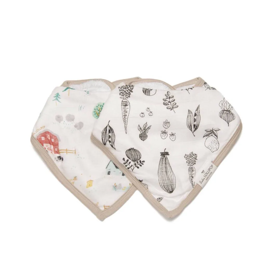 Bandana Bib Set