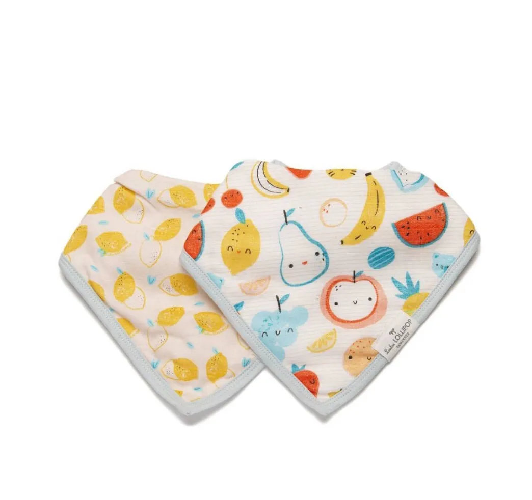 Bandana Bib Set