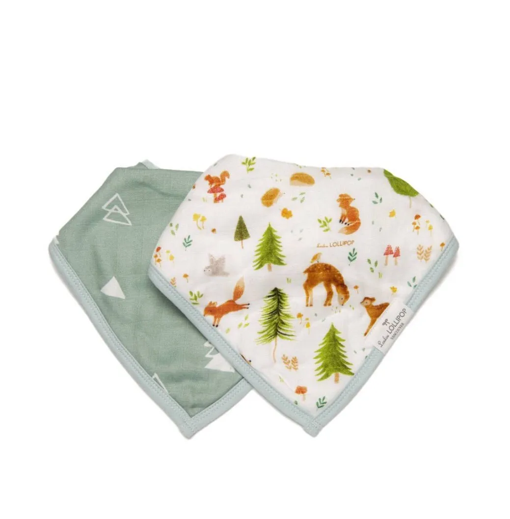 Bandana Bib Set