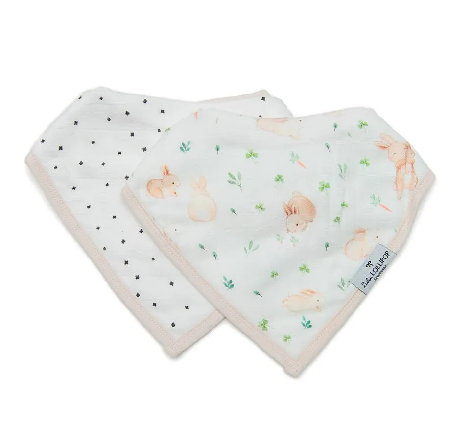 Bandana Bib Set