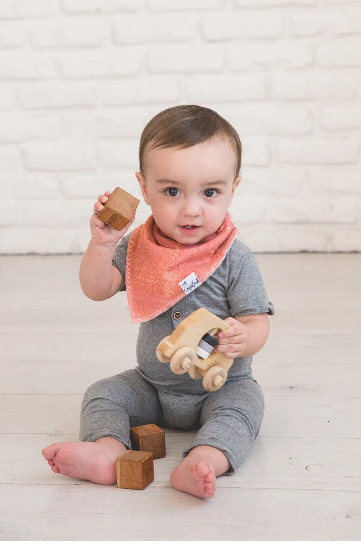 Bison Bandana Bib Set