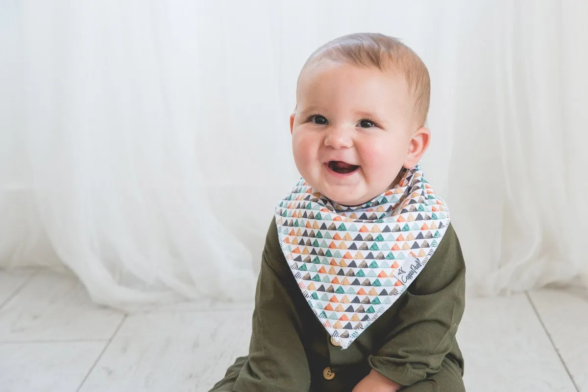 Bison Bandana Bib Set