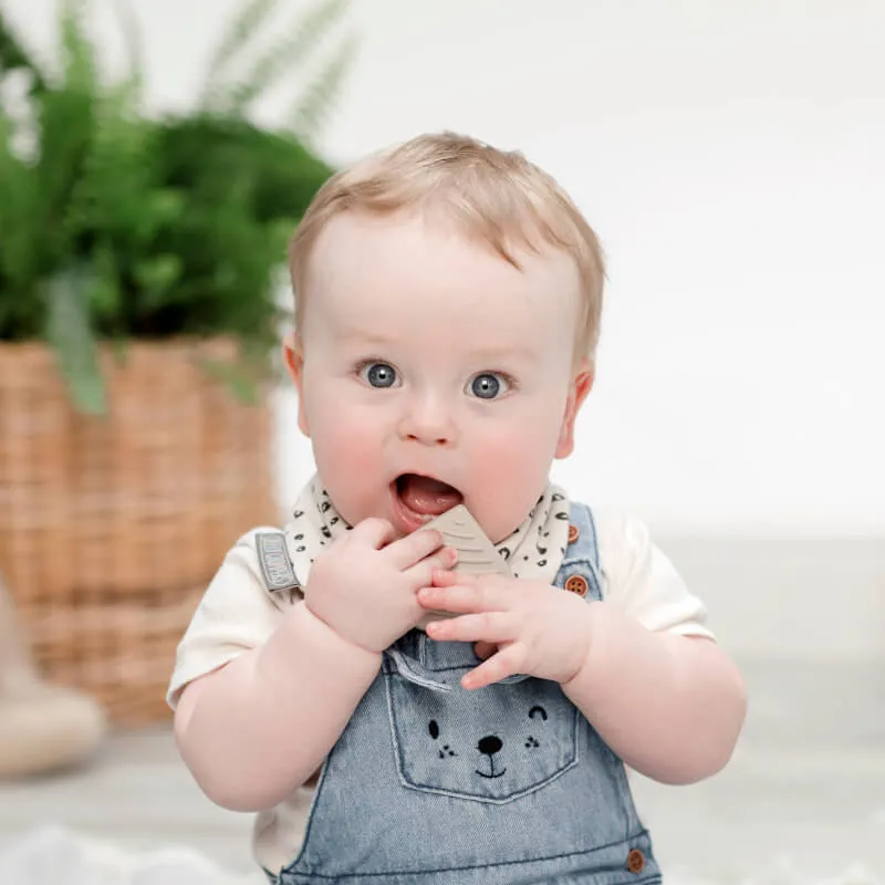 Cheeky Chompers Neckerchew Teething Dribble Bib - Leopard
