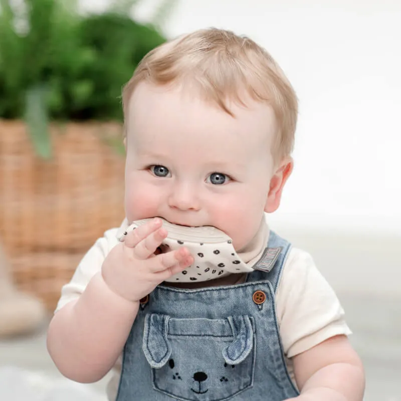 Cheeky Chompers Neckerchew Teething Dribble Bib - Leopard