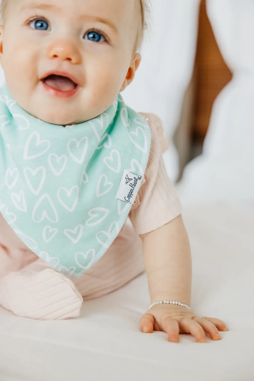 Cheery Baby Bandana Bibs