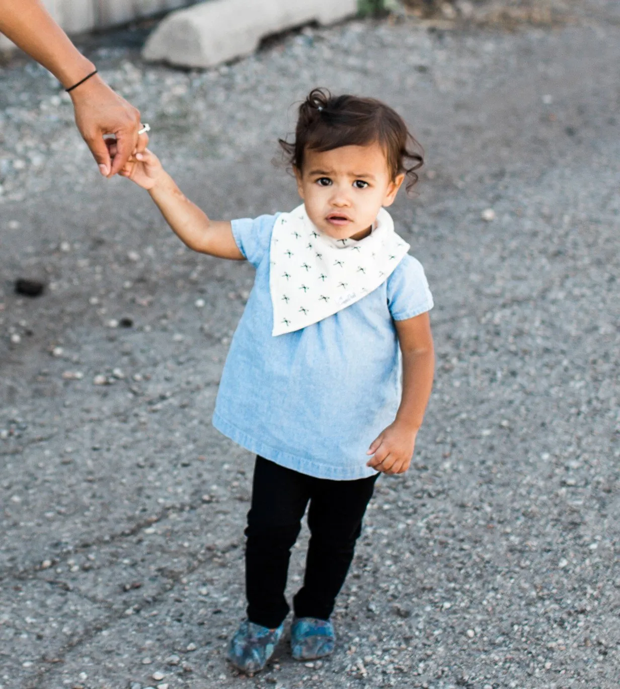Copper Pearl Baby Bandana Bibs - Paris