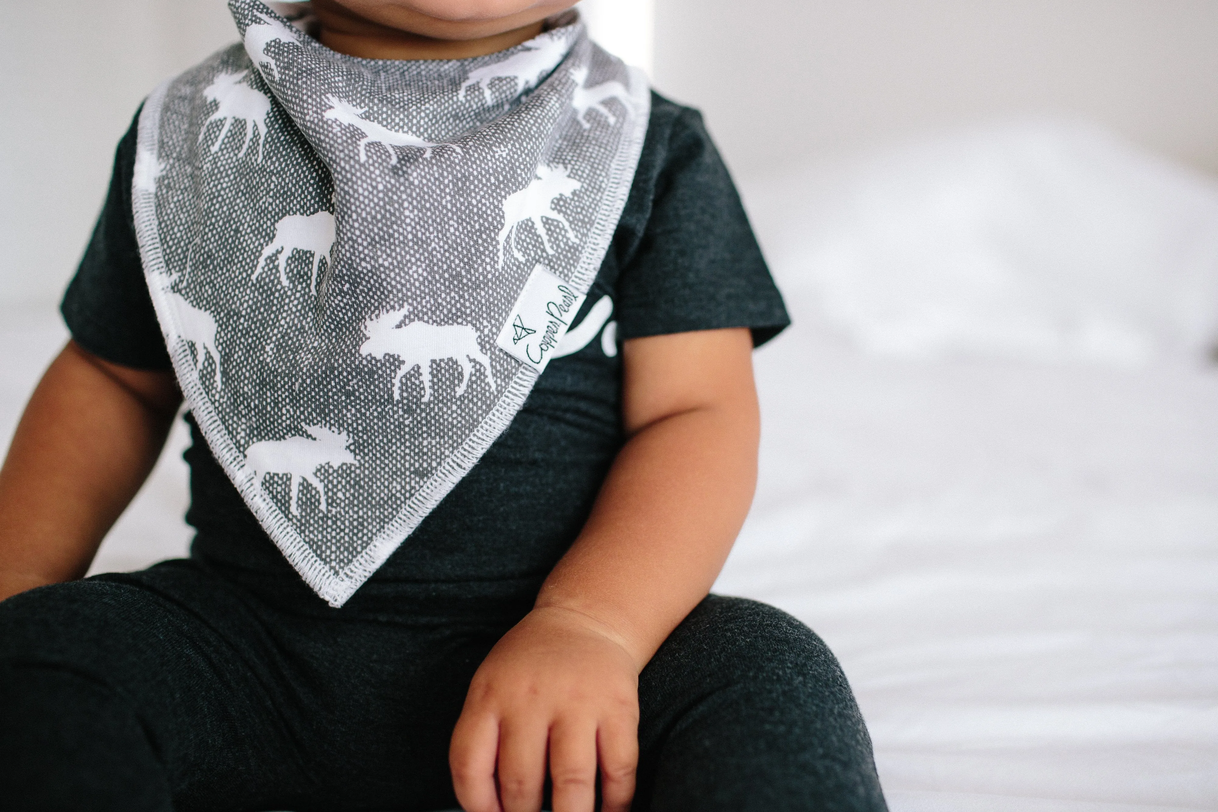 Copper Pearl Baby Bandana Bibs - Scout