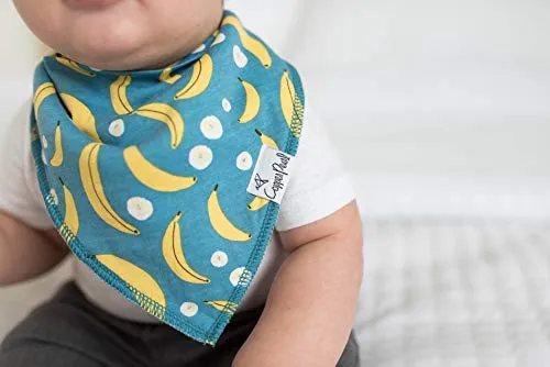 Copper Pearl Baby Bandana Drool Bibs for Drooling and Teething 4 Pack Gift Set "Citrus"
