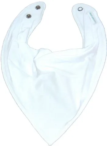 Dry Bib Bandana Bib