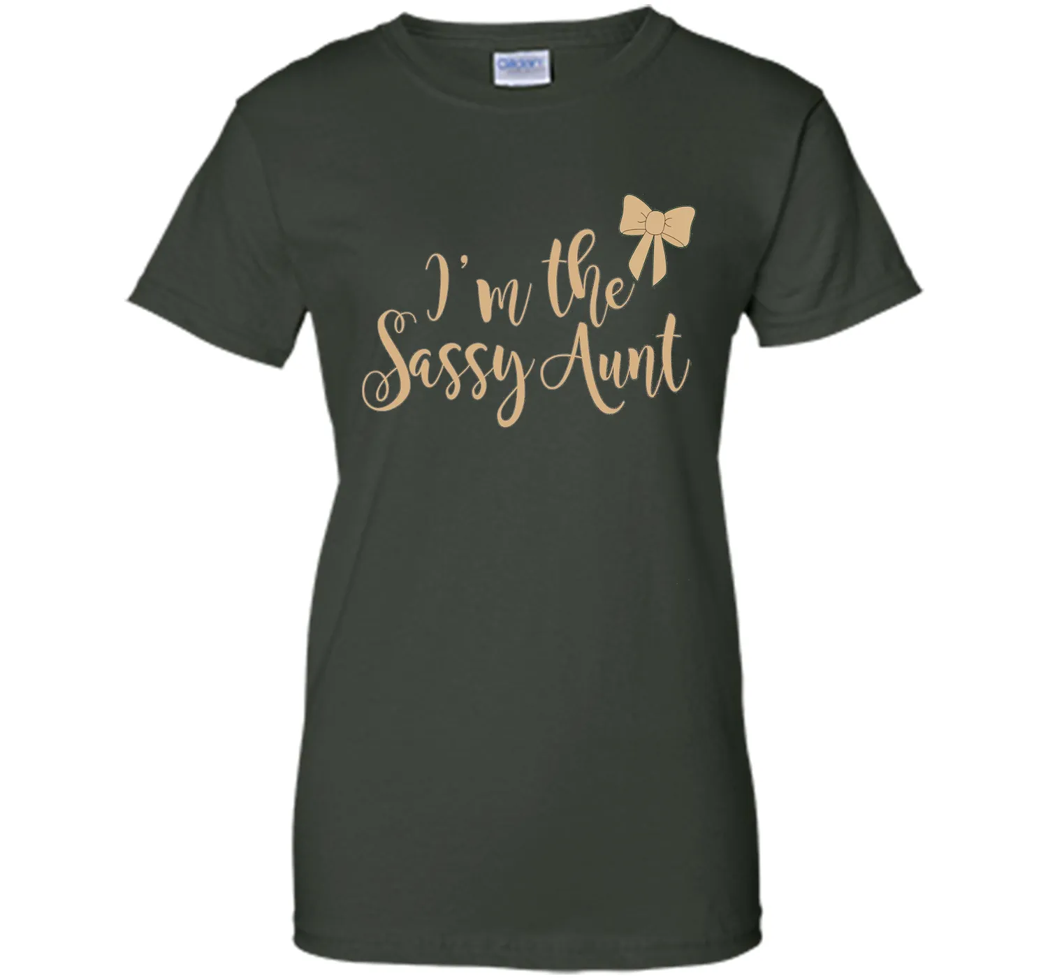 I'm the sassy aunt T shirt - Best gift for Aunt Auntie