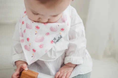 June Bandana Bib Set
