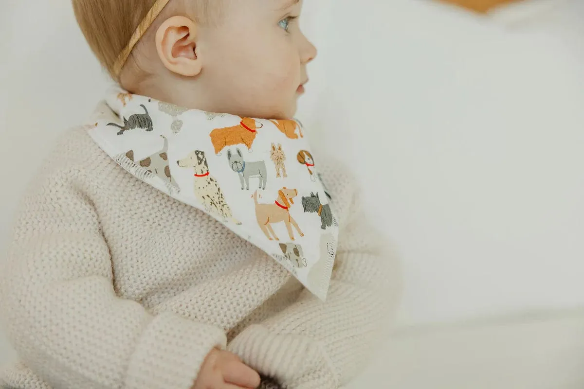 Rufus Bandana Bibs