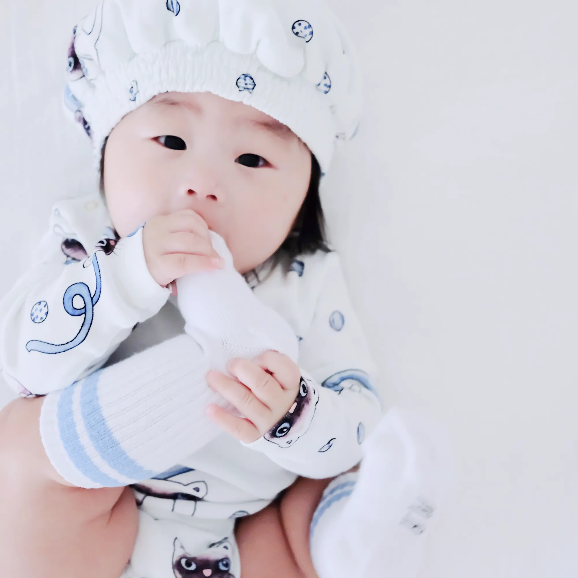 Siamese Cat Baby Set