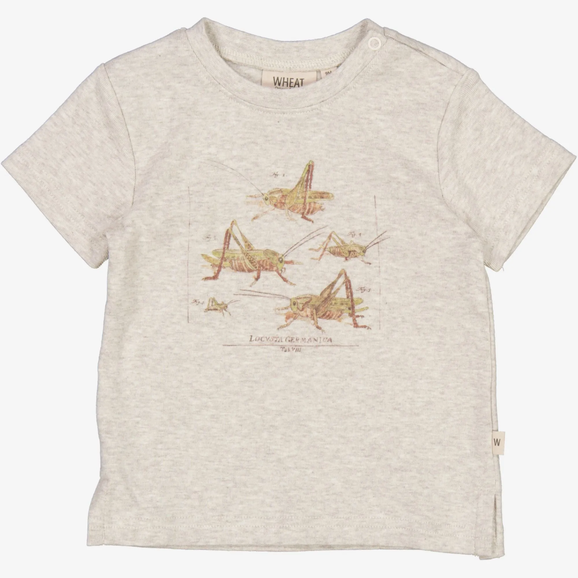 T-Shirt Grasshoppers | Baby - fossil melange